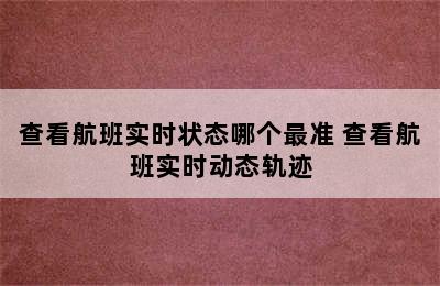 查看航班实时状态哪个最准 查看航班实时动态轨迹